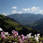 In Sankt Johann Im Pongau Near Area *