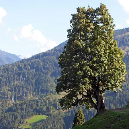 公寓 In Sankt Johann Im Pongau Near Area 瓦格赖恩