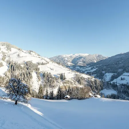 Apartment In Sankt Johann Im Pongau Near Ski Area Apartment Wagrain