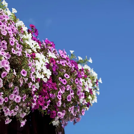 Apartment Apartment In Sankt Johann Im Pongau Near Ski Area