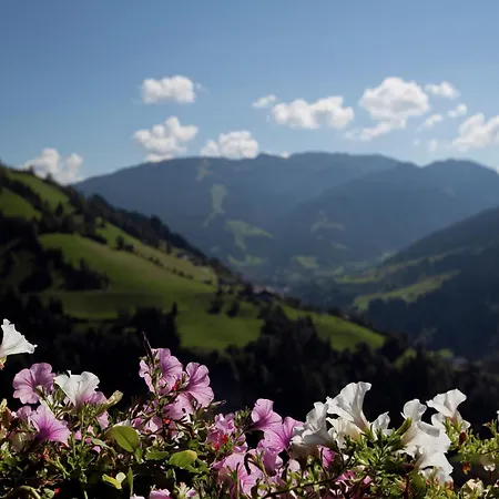 In Sankt Johann Im Pongau Near Area 公寓 *