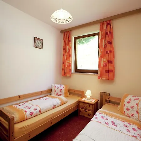 Apartment Close To The Ski Area Wagrain